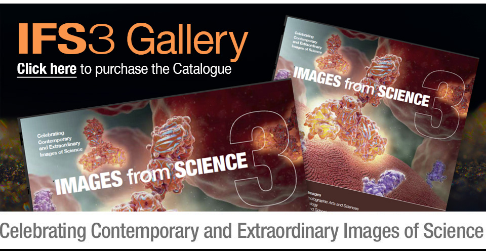 Celebrating Contemporary and Extraordinary Images of Science